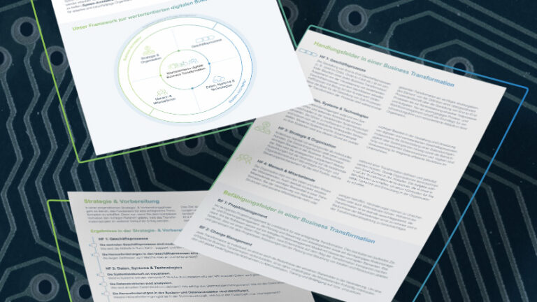 Teaser zum Leitfaden "digitale wertorientierte Business Transformation"